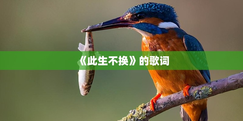 《此生不换》的歌词