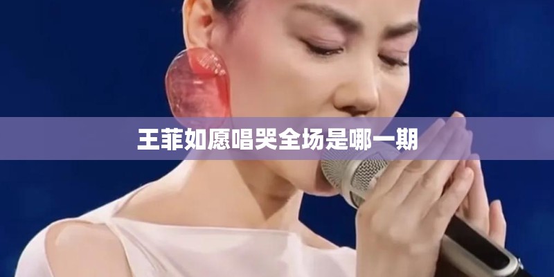 秘密的意思