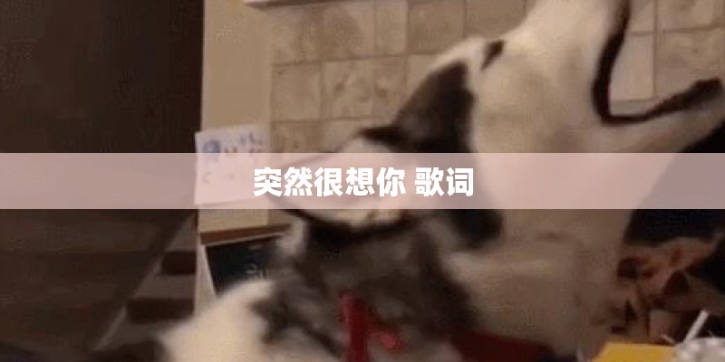 突然很想你 歌词