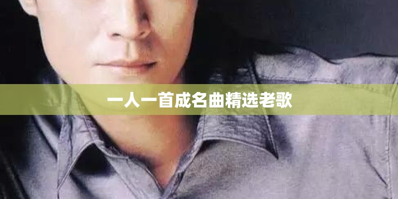 一人一首成名曲精选老歌