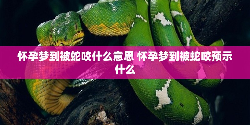 像我这样的人 歌词 毛不易