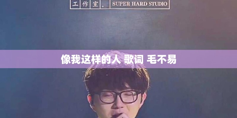像我这样的人 歌词 毛不易